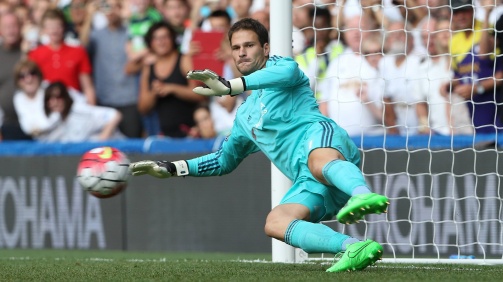 Asmir Begovic played 256 games in the Premier League. The majority of those games for Stoke. 